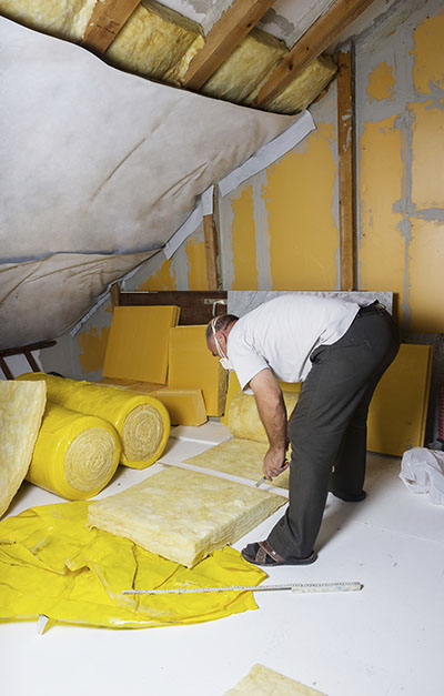 Ceiling Insulation